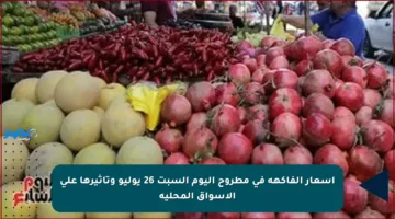 أسعار الفاكهة في مطروح اليوم السبت 26 يوليو وتأثيرها على الأسواق المحلية